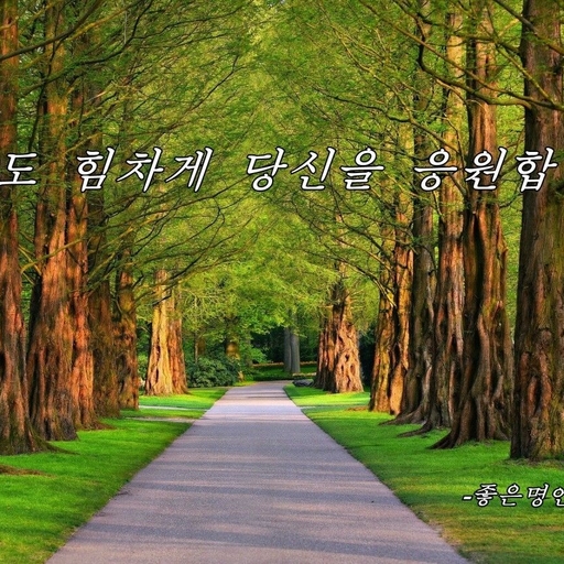 피드 이미지