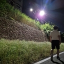 피드 작성자 프로필