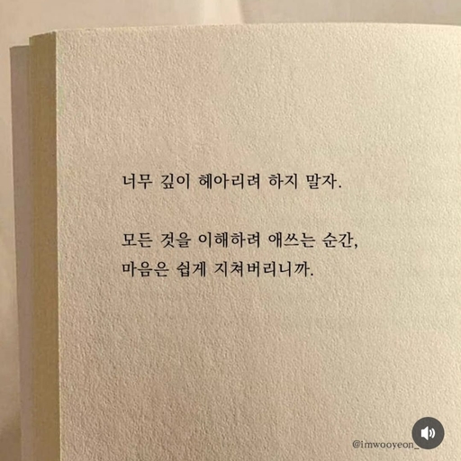 피드 이미지