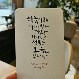 피드에 업로드 된 이미지