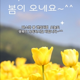 피드에 업로드 된 이미지