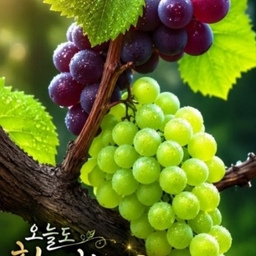 피드에 업로드 된 이미지