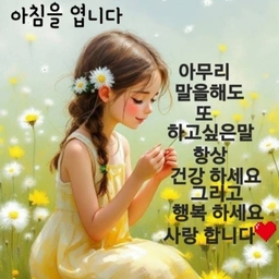 피드에 업로드 된 이미지