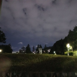 피드에 업로드 된 이미지