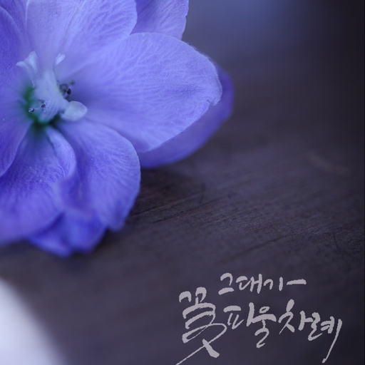 피드 이미지