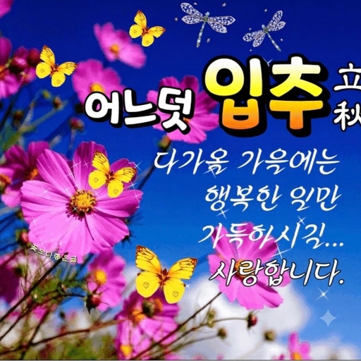 피드 이미지