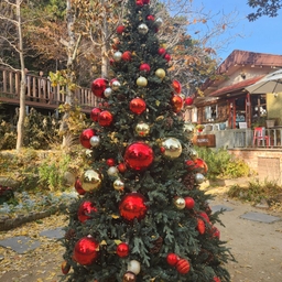 피드에 업로드 된 이미지