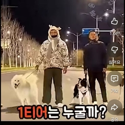 피드에 업로드 된 이미지