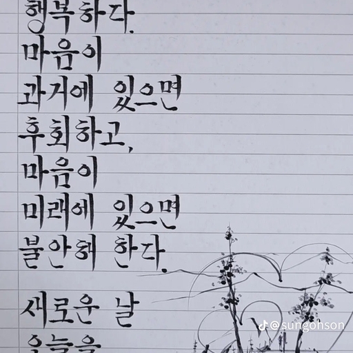 피드 이미지