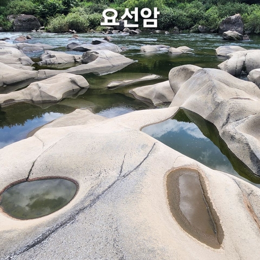 피드 이미지