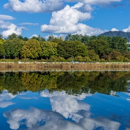 피드에 업로드 된 이미지