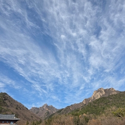 피드에 업로드 된 이미지