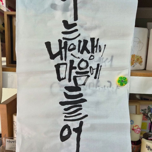 피드 이미지