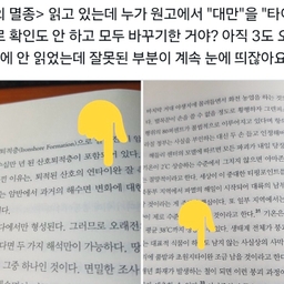 피드에 업로드 된 이미지