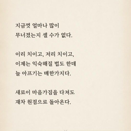 피드 이미지