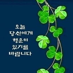 피드에 업로드 된 이미지