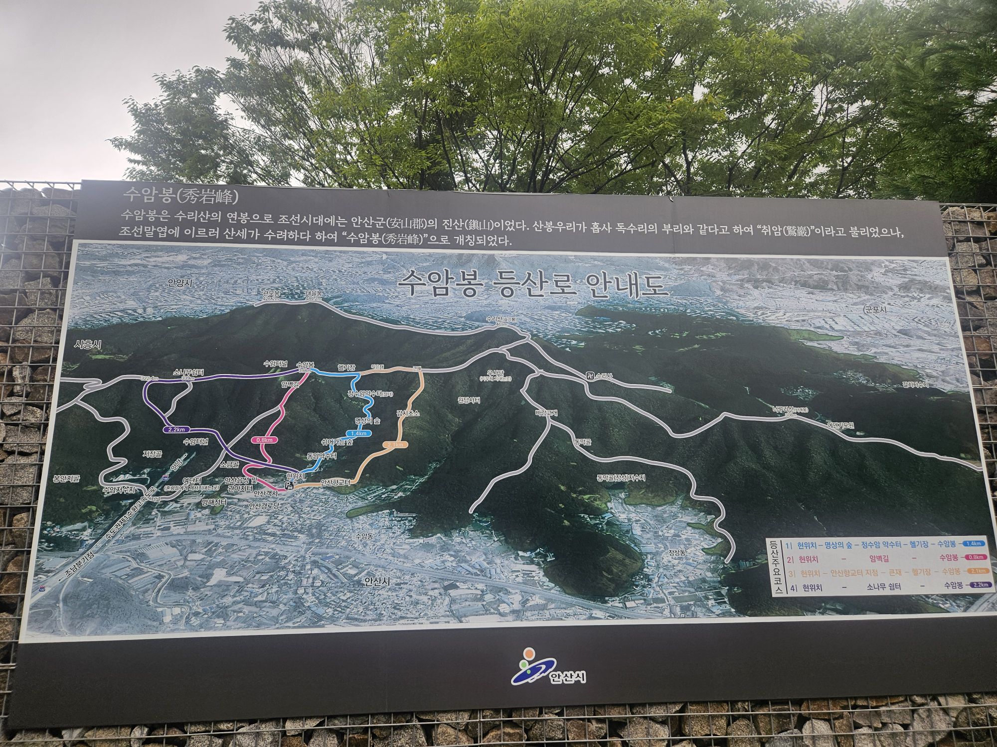 피드 이미지