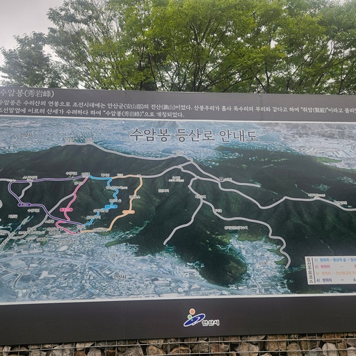 피드 이미지