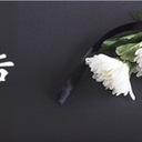 멤버 프로필