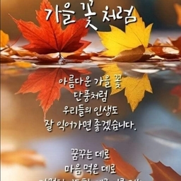 피드에 업로드 된 이미지