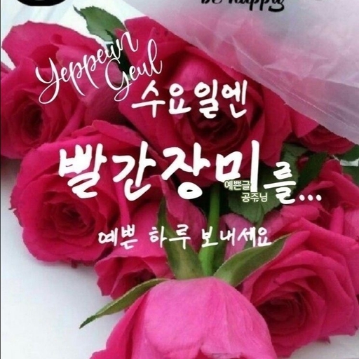 피드 이미지