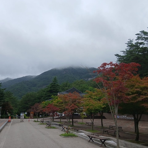 피드 이미지