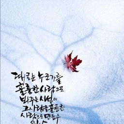 피드에 업로드 된 이미지