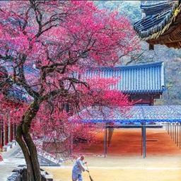 피드에 업로드 된 이미지