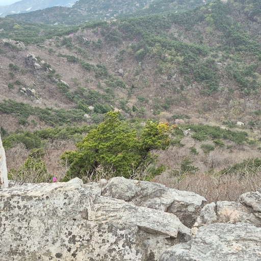 피드 이미지