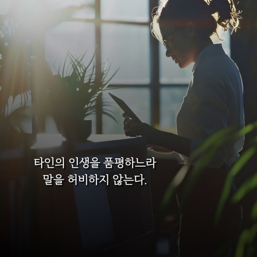 피드 이미지