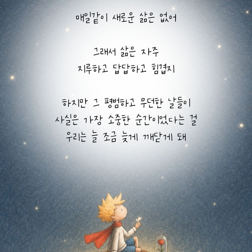 피드 이미지