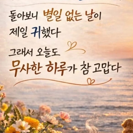 피드 이미지