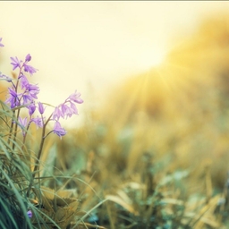피드에 업로드 된 이미지