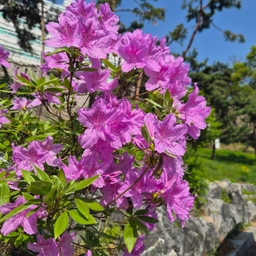 피드에 업로드 된 이미지