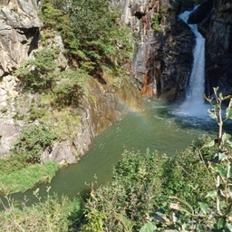 피드에 업로드 된 이미지