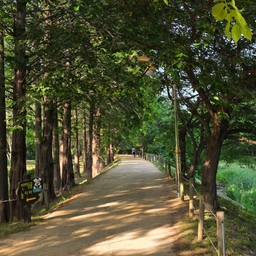 피드에 업로드 된 이미지