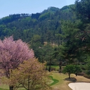 멤버 프로필