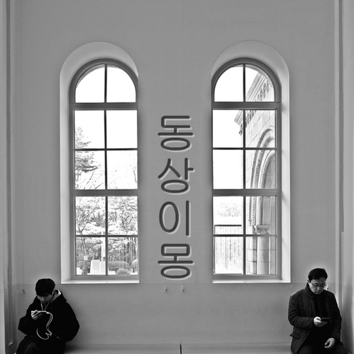 피드 이미지