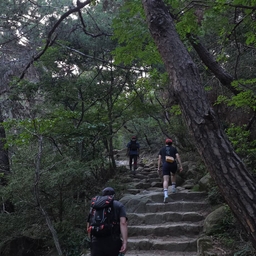 피드에 업로드 된 이미지