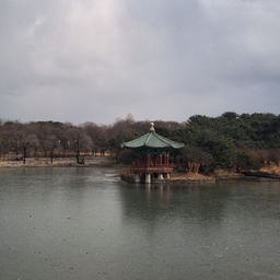 피드에 업로드 된 이미지