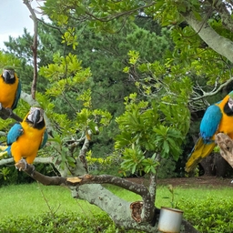 피드에 업로드 된 이미지