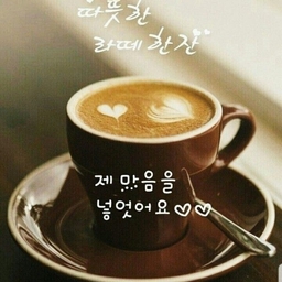 피드에 업로드 된 이미지