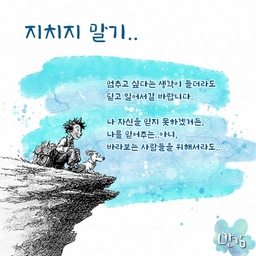 피드에 업로드 된 이미지