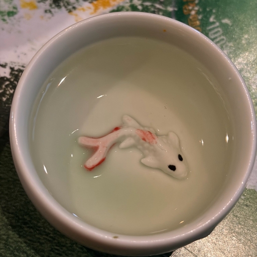 피드 이미지
