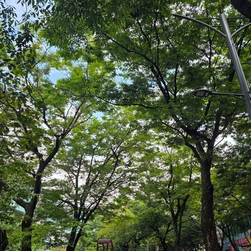 피드 이미지