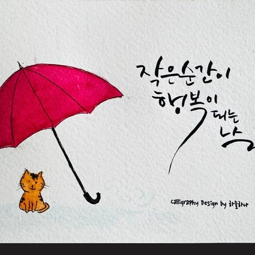 피드 이미지