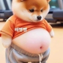 유저 프로필