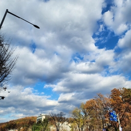 피드에 업로드 된 이미지