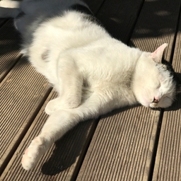 피드에 업로드 된 이미지