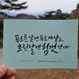 피드에 업로드 된 이미지